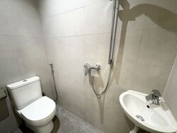 Parksuites (D10), Apartment #500931111